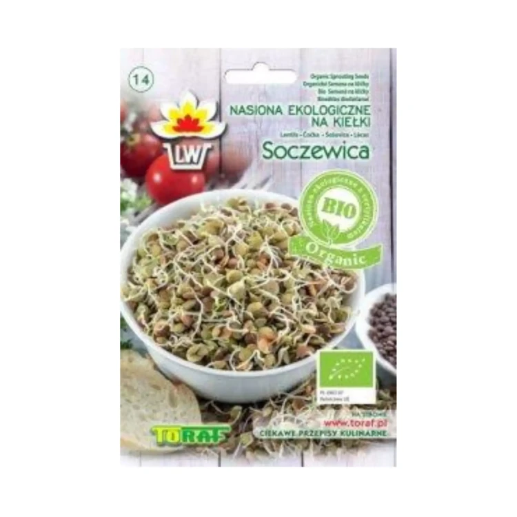 Kiełki BIO Organic – Soczewica 30 g Toraf .webp