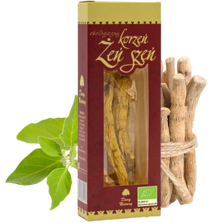 rdeo - 2025-01-15T121920.993.png