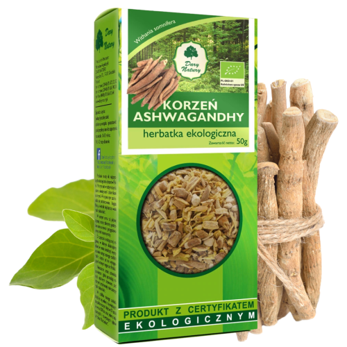 rdeo - 2025-01-16T111918.607.png