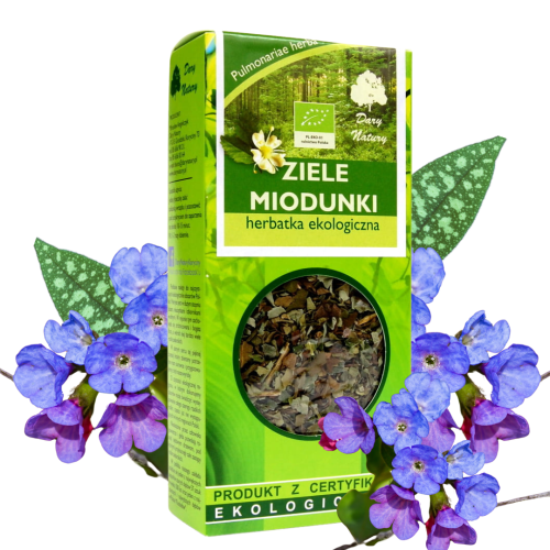 rdeo - 2025-01-15T133144.892.png