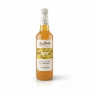 Syrop z imbiru 500 ml Batkovy — opakowanie, zdjęcie studyjne