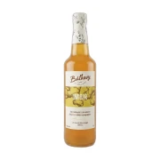 Syrop z imbiru 500 ml Batkovy
