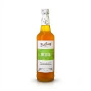 Syrop z melisy 500 ml Batkovy — opakowanie, zdjęcie studyjne