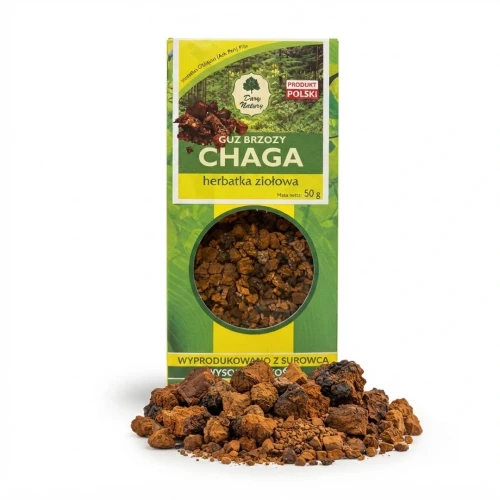 GUZ BRZOZY „CHAGA” 50 g — opakowanie i zawartość produktu